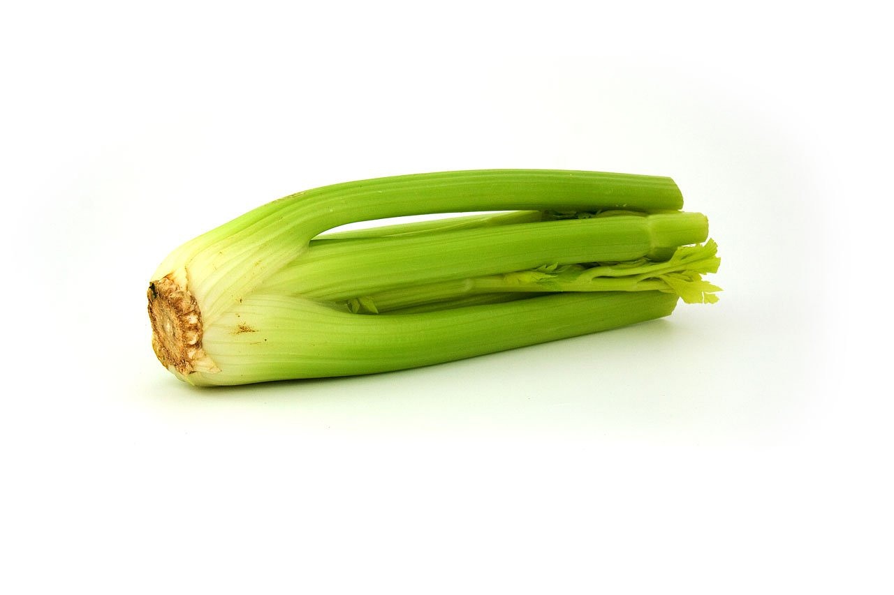 Photo by PublicDomainPictures celery, green, greenery