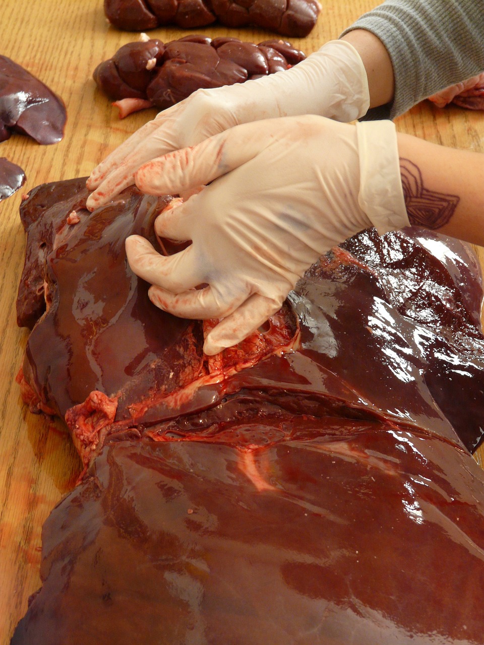 beef liver, flesh, beef